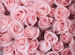 Fototapeta360 x 266  pink rose flower bouquet vintage background, 360 x 266 cm