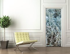 Samolepka na dvee flie 90 x 220, 84844244 - Lavender in a flower shop.