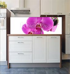 Fototapeta do kuchyn flie 180 x 60, 8546686 - Orchidea fiorita