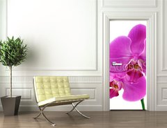 Samolepka na dvee flie 90 x 220  Orchidea fiorita, 90 x 220 cm