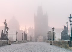 Fototapeta254 x 184  Charles Bridge in Prague at foggy morning, 254 x 184 cm