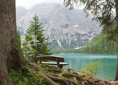 Fototapeta254 x 184  Veduta seduta sul lago, 254 x 184 cm
