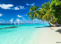 Fototapeta plátno 160 x 116, 86277577 - coco palms on tropical paradise beach with turquoise blue water and blue sky - kokosové palmy na pláži tropického ráje s tyrkysově modrou vodou a modrou oblohu