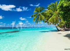 Fototapeta papr 254 x 184, 86277577 - coco palms on tropical paradise beach with turquoise blue water and blue sky