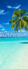 Samolepka na dveře fólie 90 x 220, 86277577 - coco palms on tropical paradise beach with turquoise blue water and blue sky - kokosové palmy na pláži tropického ráje s tyrkysově modrou vodou a modrou oblohu