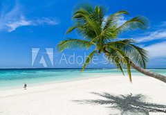 Samolepka flie 145 x 100, 86299051 - coco palm and heron bird on paradise beach