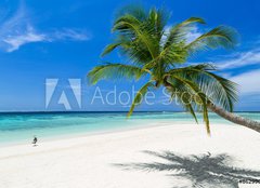 Fototapeta papr 254 x 184, 86299051 - coco palm and heron bird on paradise beach