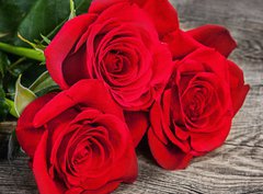 Fototapeta pltno 330 x 244, 86423669 - Bouquet of red roses on the old boards
