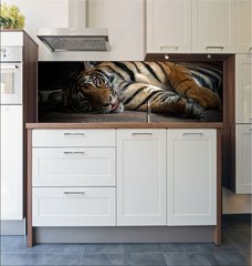 Fototapeta do kuchyn flie 180 x 60, 86701191 - bengal tiger sleeping