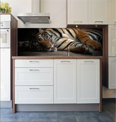 Fototapeta do kuchyn flie 180 x 60  bengal tiger sleeping, 180 x 60 cm