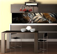 Fototapeta do kuchyn flie 260 x 60  bengal tiger sleeping, 260 x 60 cm