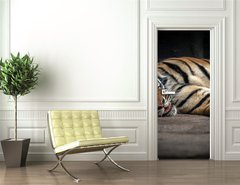Samolepka na dvee flie 90 x 220  bengal tiger sleeping, 90 x 220 cm