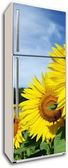 Samolepka na lednici flie 80 x 200  Tournesols, 80 x 200 cm