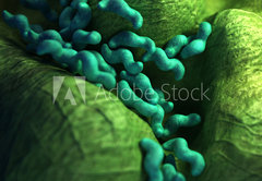 Fototapeta pltno 174 x 120, 87073278 - medical bacteria illustration of the campylobacter