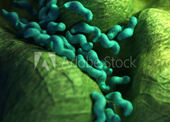 Fototapeta vliesov 200 x 144, 87073278 - medical bacteria illustration of the campylobacter