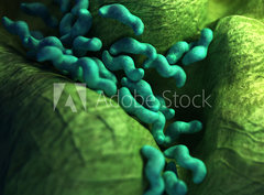 Fototapeta pltno 330 x 244, 87073278 - medical bacteria illustration of the campylobacter