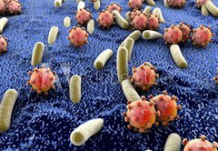 Fototapeta174 x 120  Bacteria and viruses on surface of skin, mucous membrane or intestine, model of MERS, HIV, flu, Escherichia coli, Salmonella, Klebsiella, Legionella, Mycobacterium tuberculosis, model of microbes, 174 x 120 cm