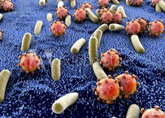 Samolepka flie 200 x 144  Bacteria and viruses on surface of skin, mucous membrane or intestine, model of MERS, HIV, flu, Escherichia coli, Salmonella, Klebsiella, Legionella, Mycobacterium tuberculosis, model of microbes, 200 x 144 cm