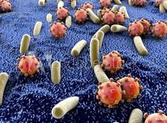Fototapeta360 x 266  Bacteria and viruses on surface of skin, mucous membrane or intestine, model of MERS, HIV, flu, Escherichia coli, Salmonella, Klebsiella, Legionella, Mycobacterium tuberculosis, model of microbes, 360 x 266 cm