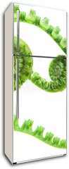 Samolepka na lednici fólie 80 x 200, 8942072 - fern - kapradina