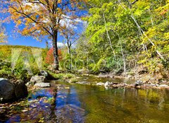 Fototapeta plátno 160 x 116, 90713937 - Fall river - Podzimní řeka