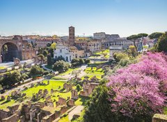 Samolepka flie 100 x 73, 90731336 - The aerial view of Roman Forum in Rome, Italy - Leteck pohled na msk frum v m, Itlie