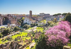 Samolepka flie 145 x 100, 90731336 - The aerial view of Roman Forum in Rome, Italy