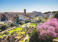 Fototapeta pltno 160 x 116, 90731336 - The aerial view of Roman Forum in Rome, Italy - Leteck pohled na msk frum v m, Itlie