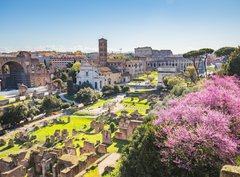 Fototapeta pltno 330 x 244, 90731336 - The aerial view of Roman Forum in Rome, Italy