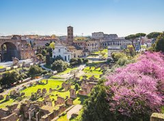 Fototapeta papr 360 x 266, 90731336 - The aerial view of Roman Forum in Rome, Italy