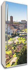 Samolepka na lednici flie 80 x 200, 90731336 - The aerial view of Roman Forum in Rome, Italy