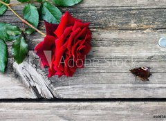 Samolepka flie 100 x 73, 90974590 - Red rose and butterfly on an old wooden table - erven re a motl na starm devnm stole