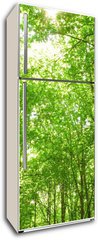 Samolepka na lednici flie 80 x 200, 9130682 - sunlight in trees of green forest