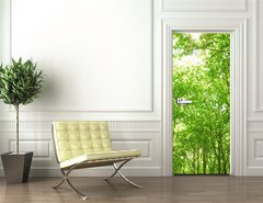 Samolepka na dvee flie 90 x 220, 9130682 - sunlight in trees of green forest
