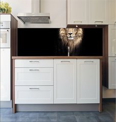 Fototapeta do kuchyn flie 180 x 60  Portrait of a Beautiful lion, lion in the dark, 180 x 60 cm