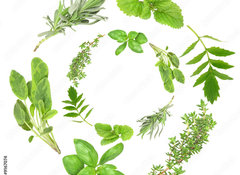 Samolepka flie 100 x 73, 9167074 - Herb Garlands