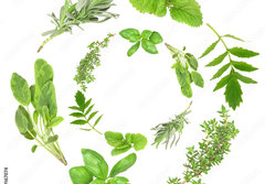 Fototapeta papr 184 x 128, 9167074 - Herb Garlands