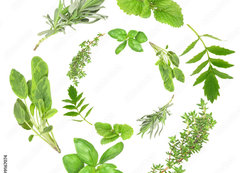 Samolepka flie 200 x 144, 9167074 - Herb Garlands