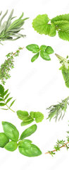 Samolepka na dvee flie 90 x 220, 9167074 - Herb Garlands