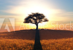 Samolepka flie 145 x 100, 91708972 - sunset and tree - zpad slunce a strom