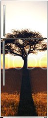 Samolepka na lednici flie 80 x 200  sunset and tree, 80 x 200 cm