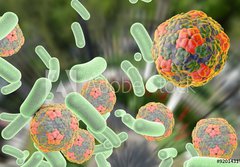 Fototapeta papr 184 x 128, 92014317 - Bacteria and viruses (Hepatitis A virus) on colorful background. Medical background. Healthcare background