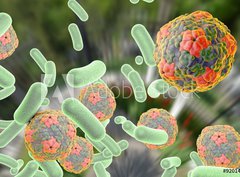 Fototapeta pltno 330 x 244, 92014317 - Bacteria and viruses (Hepatitis A virus) on colorful background. Medical background. Healthcare background