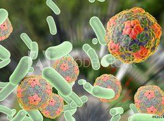 Fototapeta papr 360 x 266, 92014317 - Bacteria and viruses (Hepatitis A virus) on colorful background. Medical background. Healthcare background