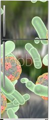 Samolepka na lednici flie 80 x 200, 92014317 - Bacteria and viruses (Hepatitis A virus) on colorful background. Medical background. Healthcare background