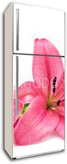 Samolepka na lednici flie 80 x 200  Pink lily, 80 x 200 cm