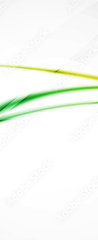 Samolepka na dvee flie 90 x 220, 92931881 - Green wave line in light space. Abstract background