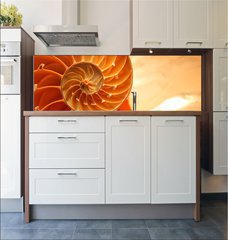 Fototapeta do kuchyn flie 180 x 60  Split nautilus seashell showing inner float chambers, 180 x 60 cm