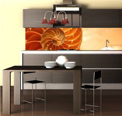 Fototapeta do kuchyně fólie 260 x 60, 9319403 - Split nautilus seashell showing inner float chambers - Rozdělit nautilus seashell ukazující vnitřní plovoucí komory