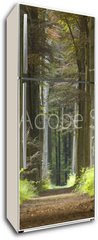 Samolepka na lednici flie 80 x 200  nature pathway, 80 x 200 cm